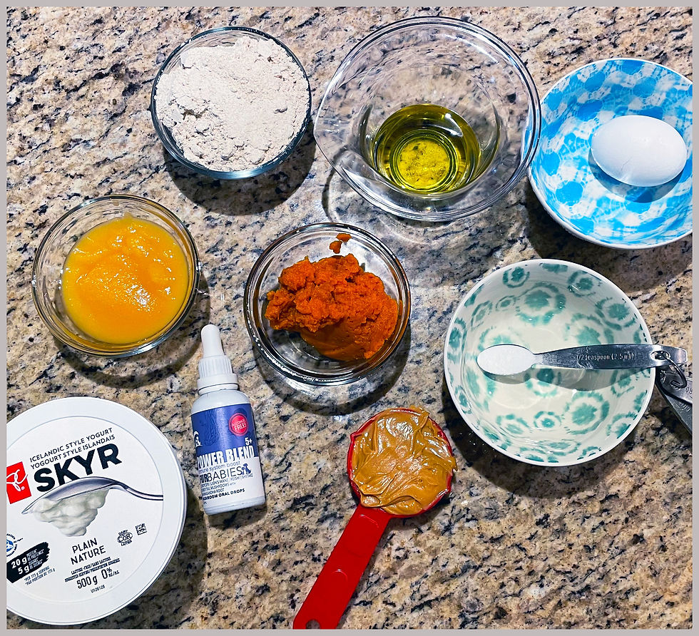 Functional healthy cupcakes for dogs
