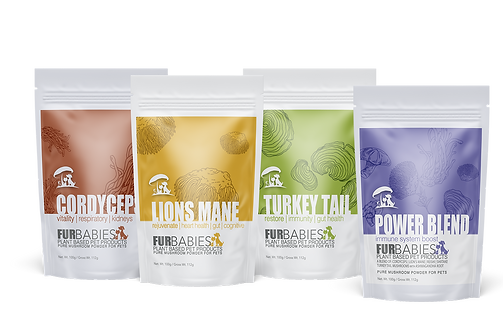 FurBabies Mushrooms for pets
