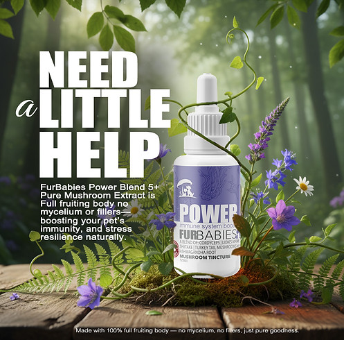 powerbelnd oral drops ad.jpg