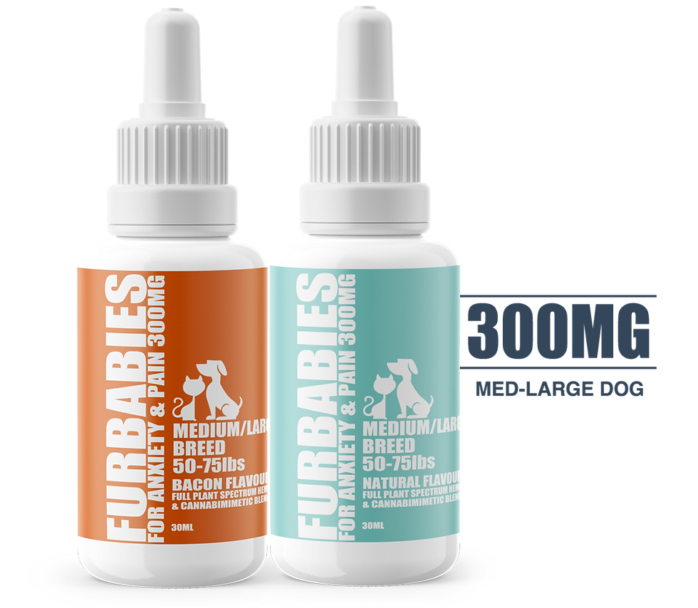 縮圖：CBM Oral Drops- Natural or Bacon Flavour - 30mL 100mg starting at