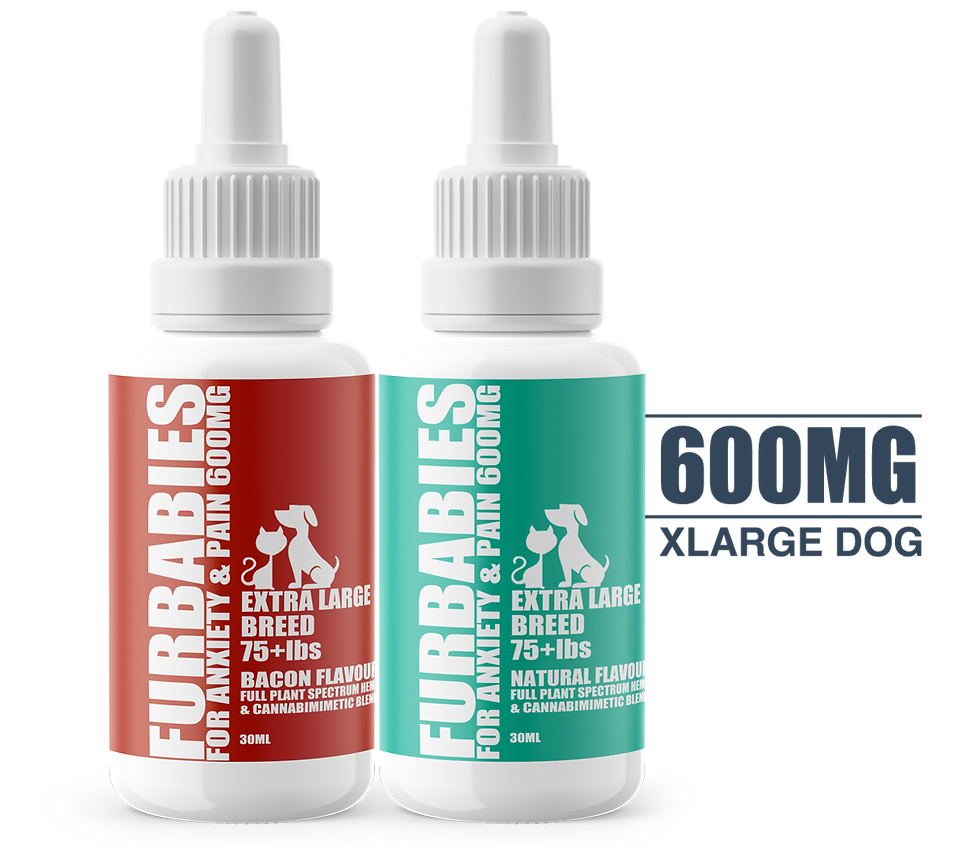 縮圖：CBM Oral Drops- Natural or Bacon Flavour - 30mL 100mg starting at