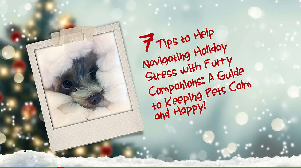 FurBabies 7 tips for holiday stress