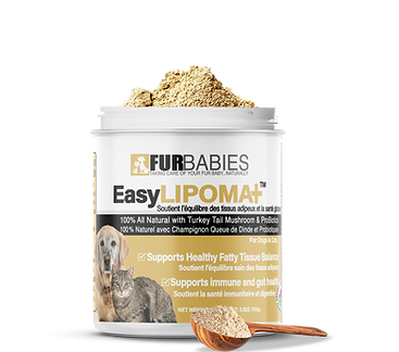 1_open_closed uline jar with spoon.png