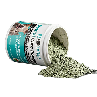 Dental Care Powder on its side