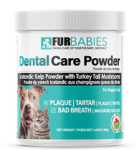 online dental casre cl;osed.png