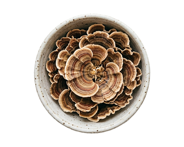 ttm