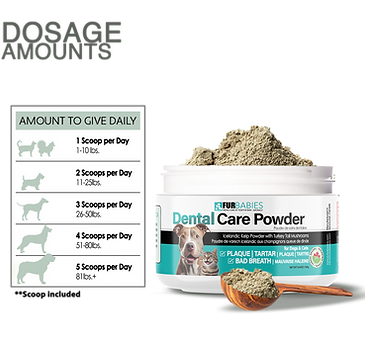 trans_Dosage amounts dental powder.png