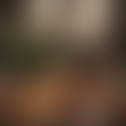 dog and cat playing brought down a christmas tree