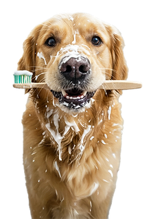 brushing teeth.png