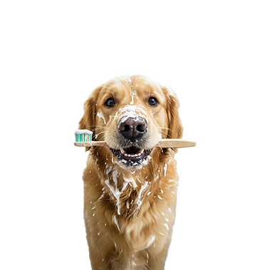 brushing teeth