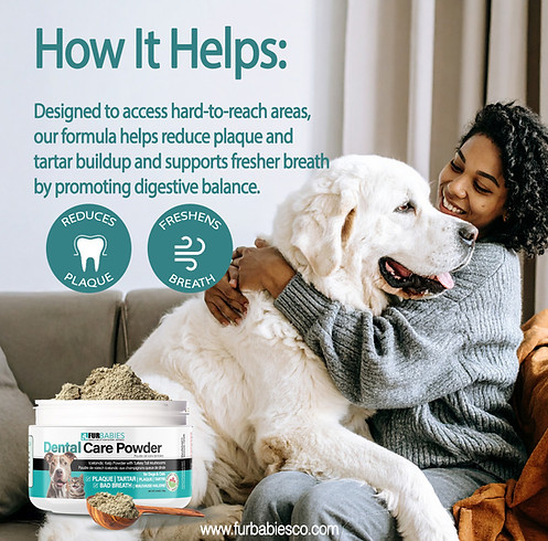 how dental powder helps