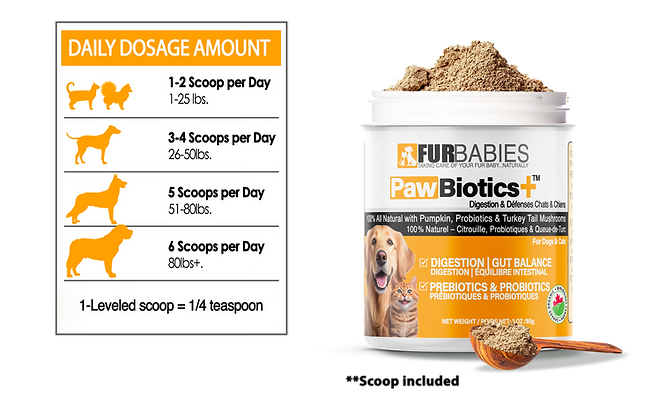 Dosage amounts dental powder.png