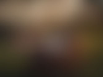 Mastering the Basics: Essential Dog Training Tips for New Puppy Owners.