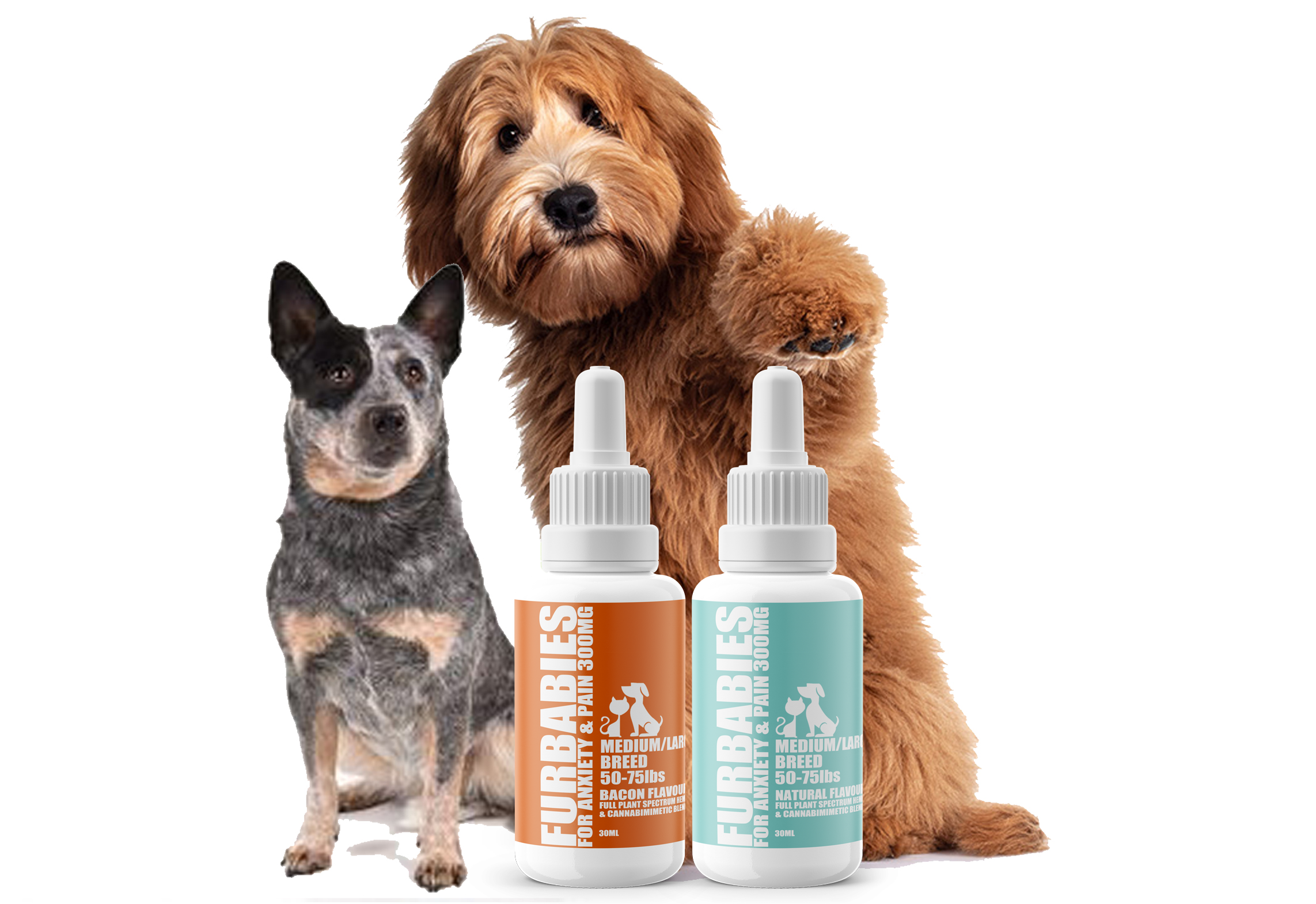 med dog with 300 mg Bacon & Natural Flavoured Oral drops 30ml bottle for pain & anxiety