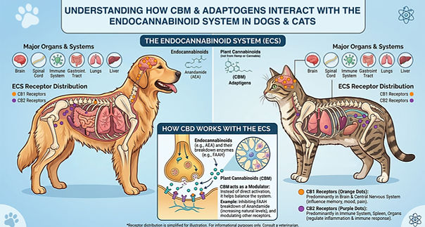 endo sytem for dogs and cats