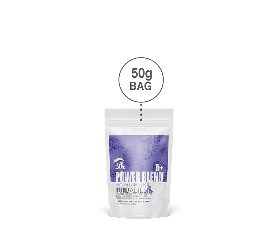 Thumbnail: POWER BLEND 5+ - 100% Fruiting Body