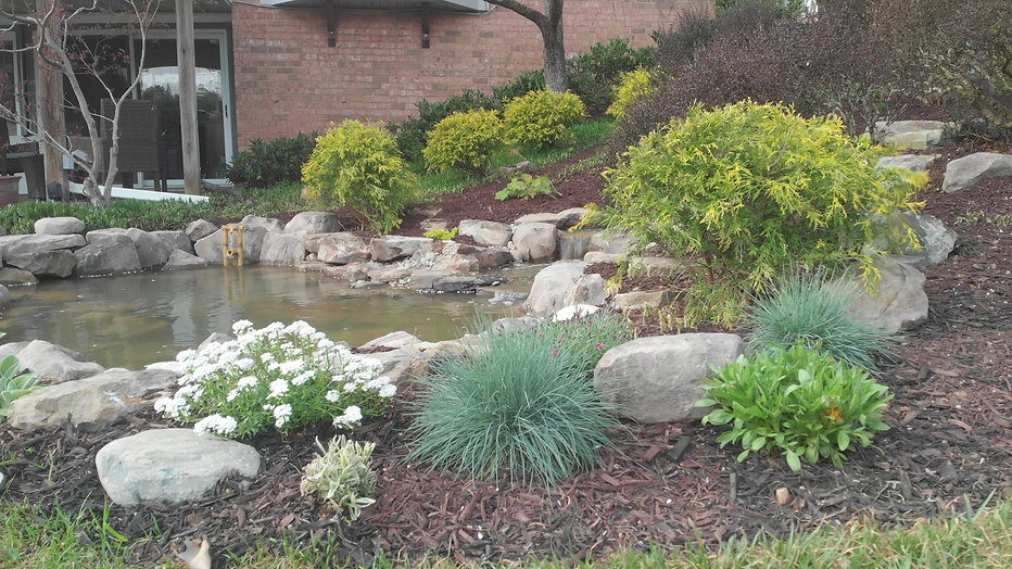 Video Gallery Oasis Water Gardens