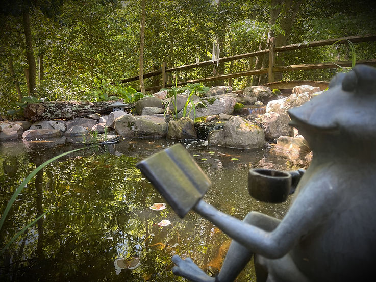 Ponds Oasis Water Gardens Brookeville