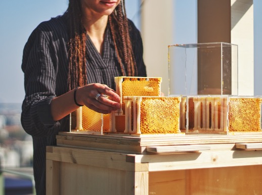 Raw honey with visible crystallisation