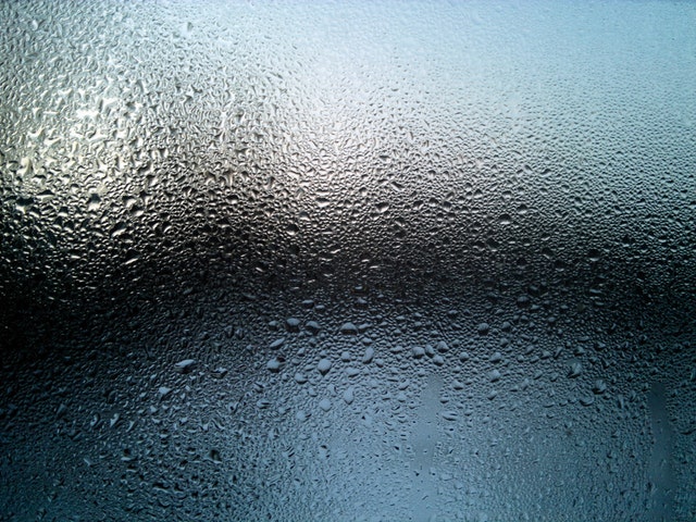 Mould growth on a leather bag in Singapore's humid climate
