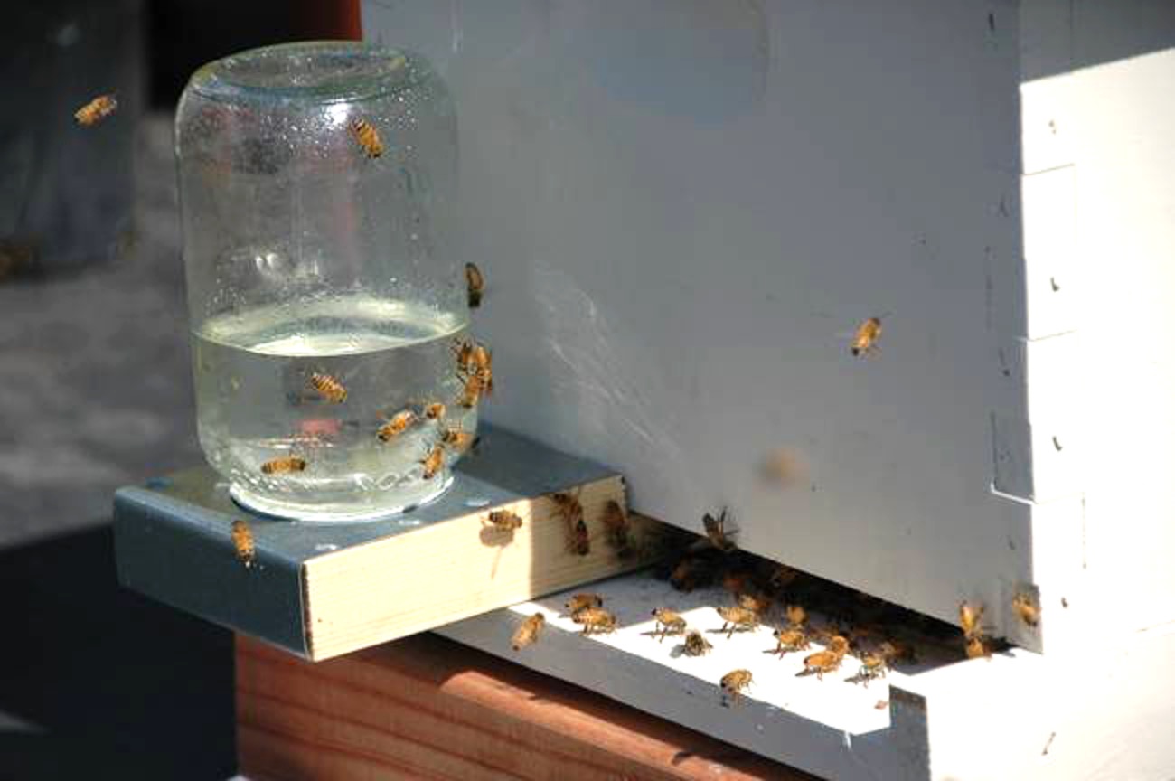 Honey being processed and bottled