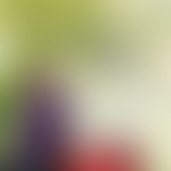 Maak kennis met taiko op 29/08/20