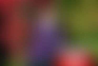 Taiko in Gentbrugge in 2020