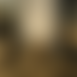 De Japanse taiko door drie tijdperken: ritueel, militair en modern