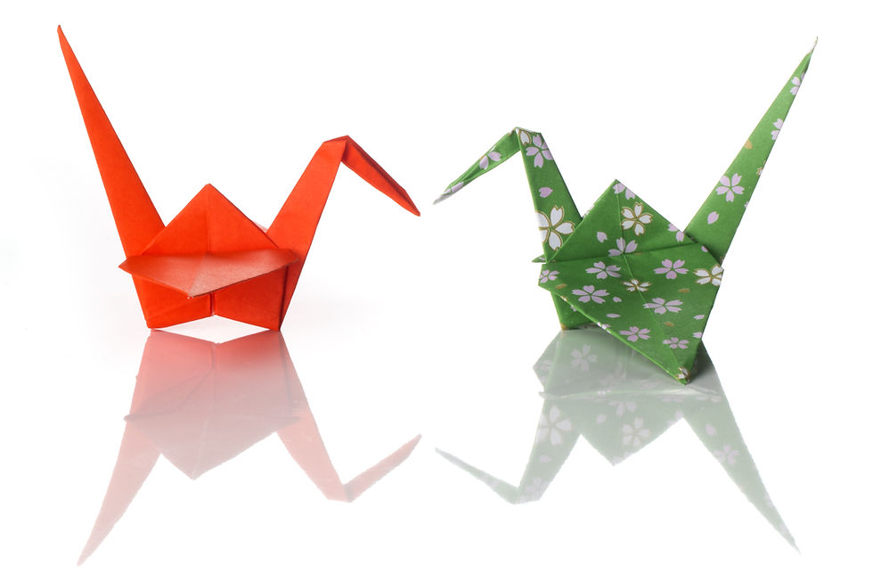 NIEUW: Ontdek de magie van origami – Nu ook in combinatie met taiko (en Sumi‑e!)