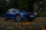Auto blu in autunno