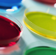 Picture3 petri dishes colour.png