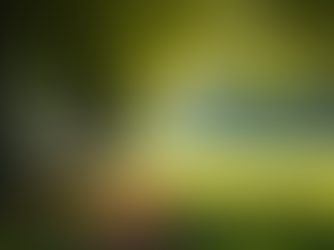 Gençlerde Ruh Sağlığı ve Terapi Tercihleri