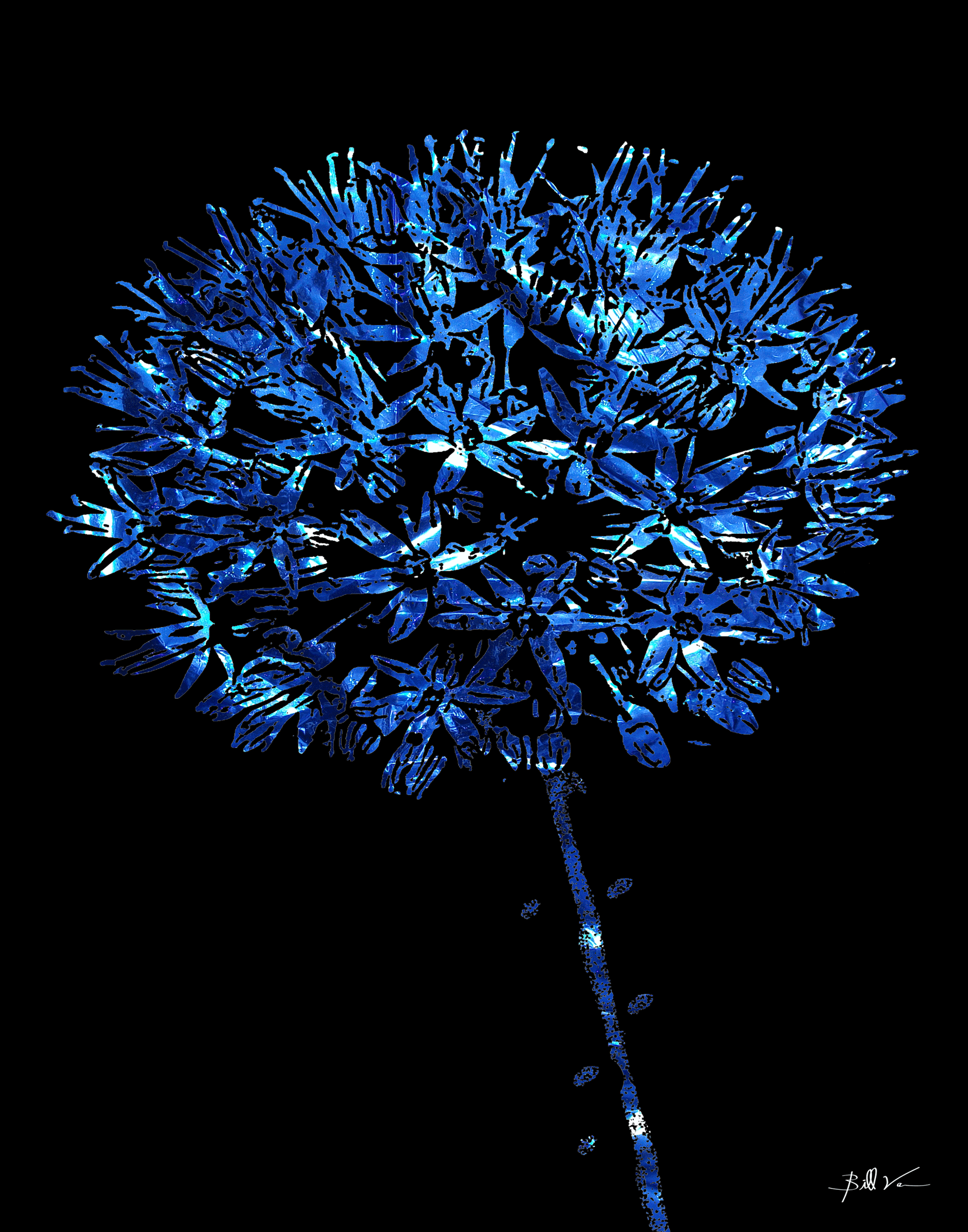 Onion-Flower-Blue-Foil.gif
