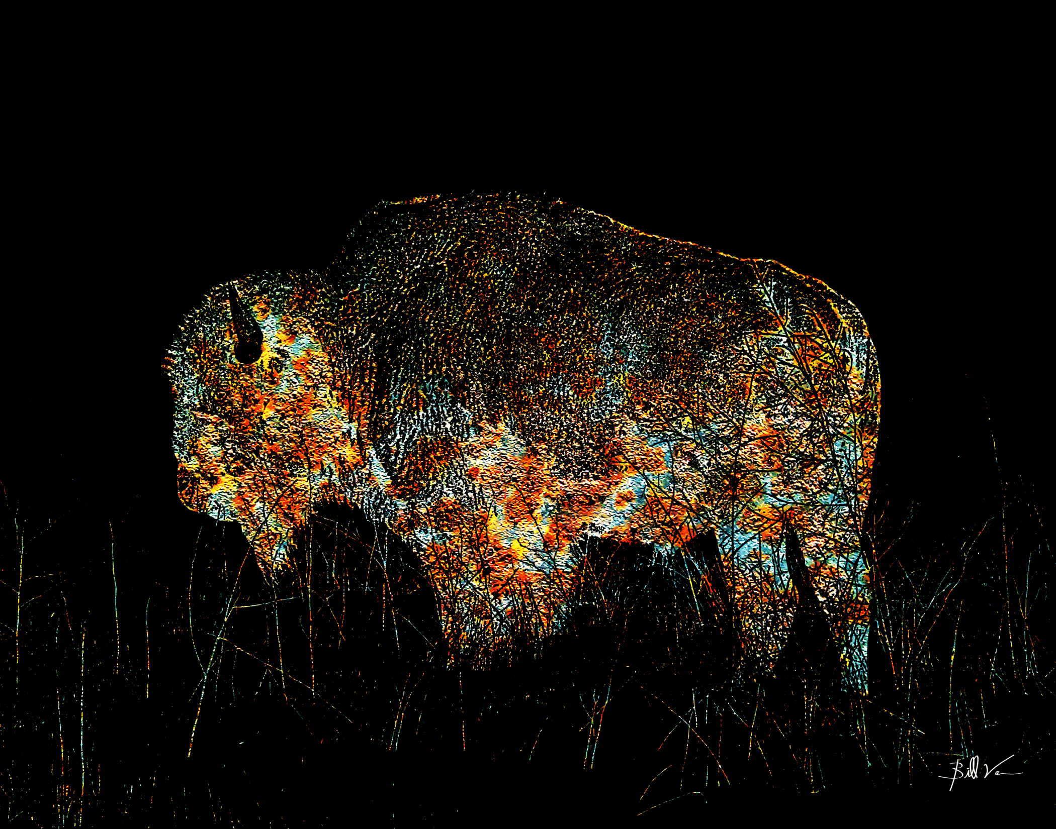 Buffalo-Praire.gif