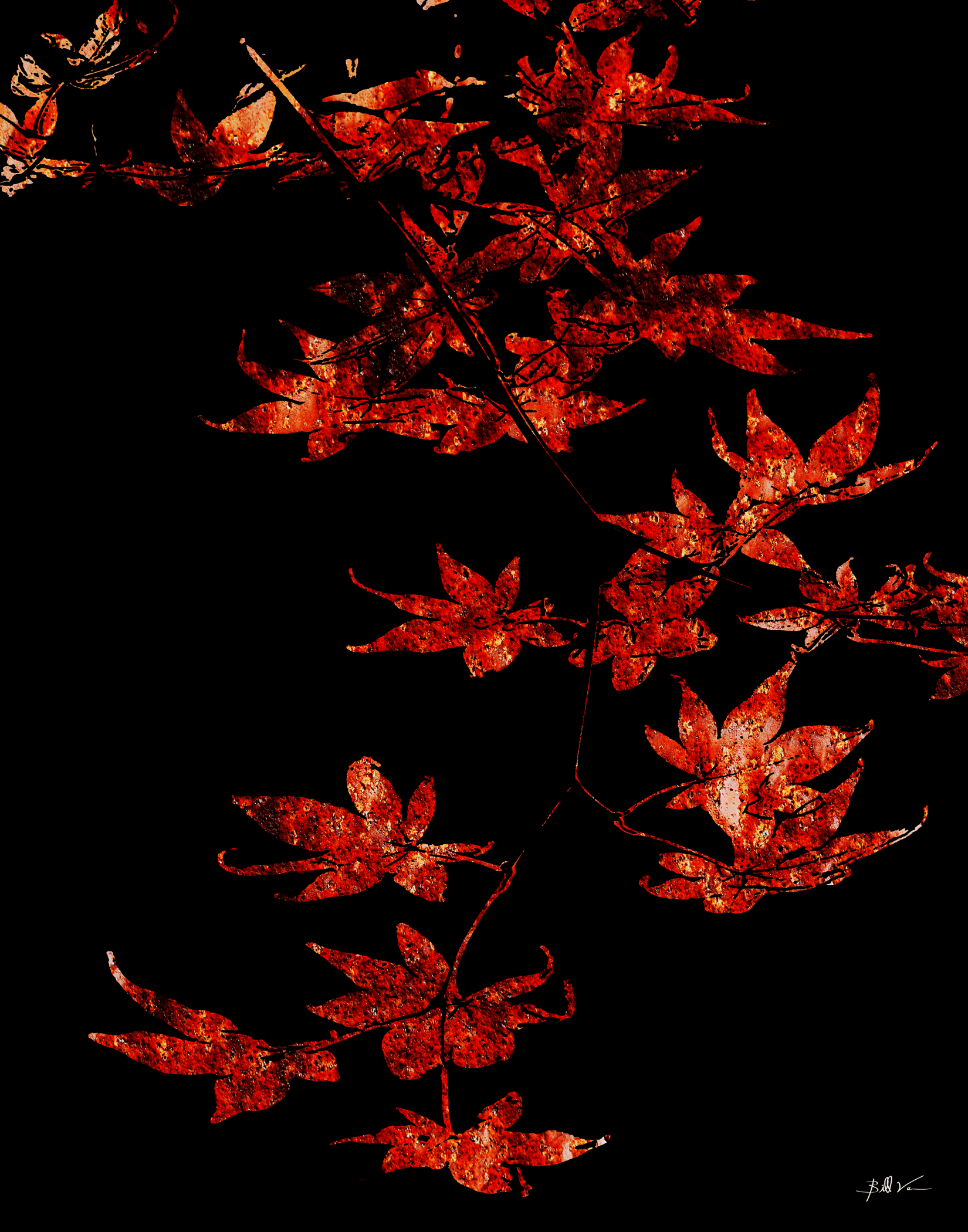 Hanging-Branch---Red-Rust.gif