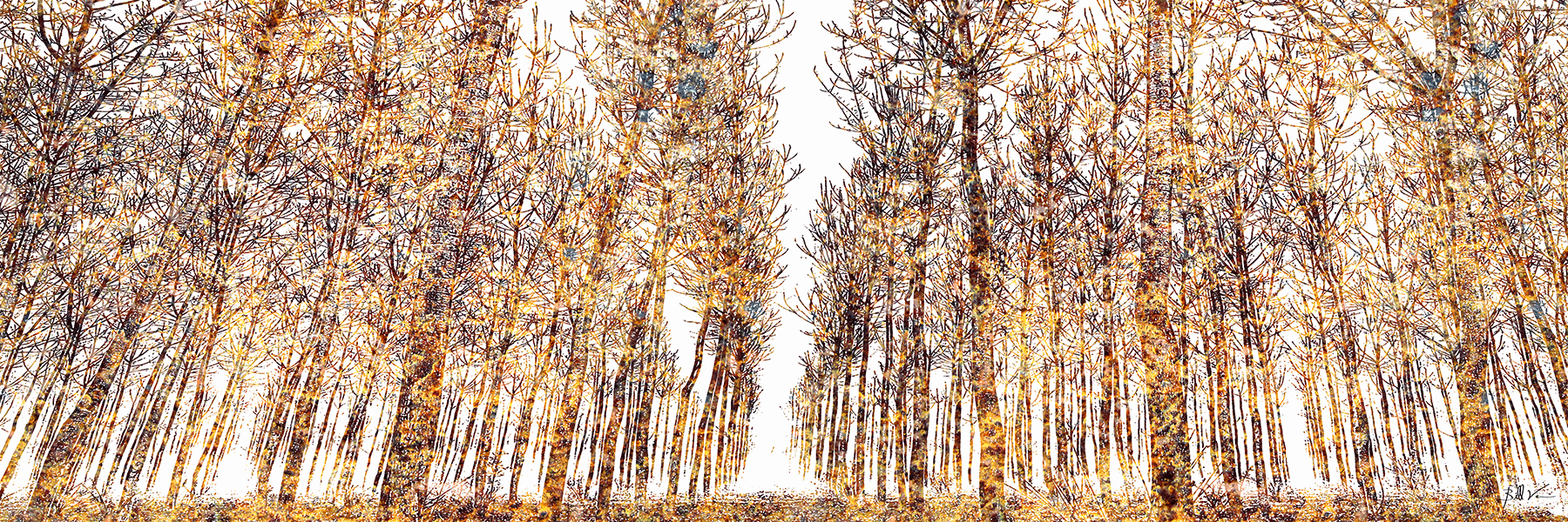 Tree-Farm.gif