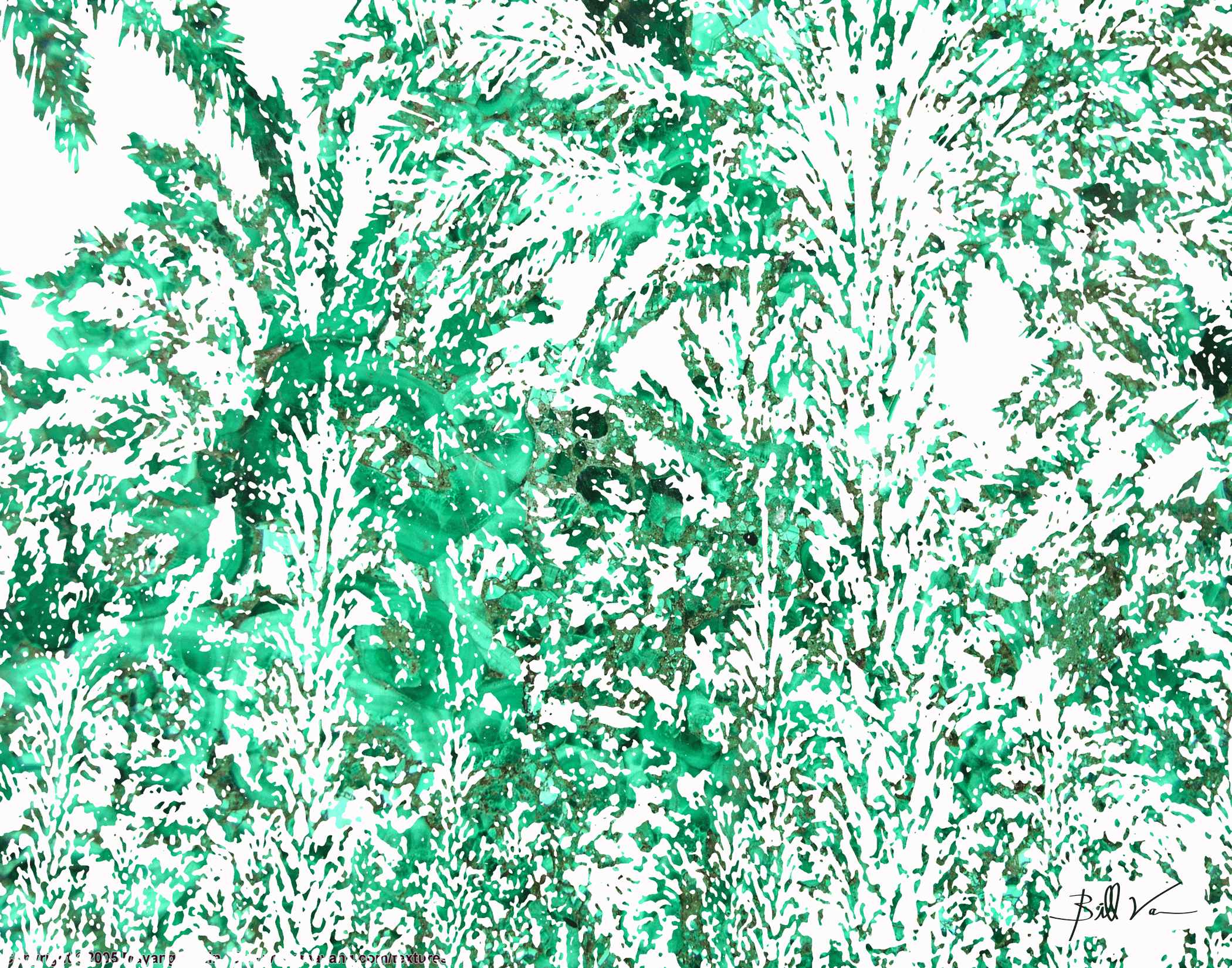 Palm-Grove-White.gif
