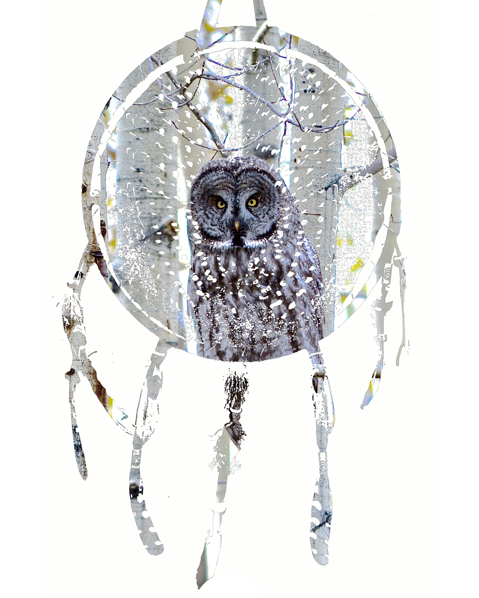 Medicine-Shield---Owl.gif