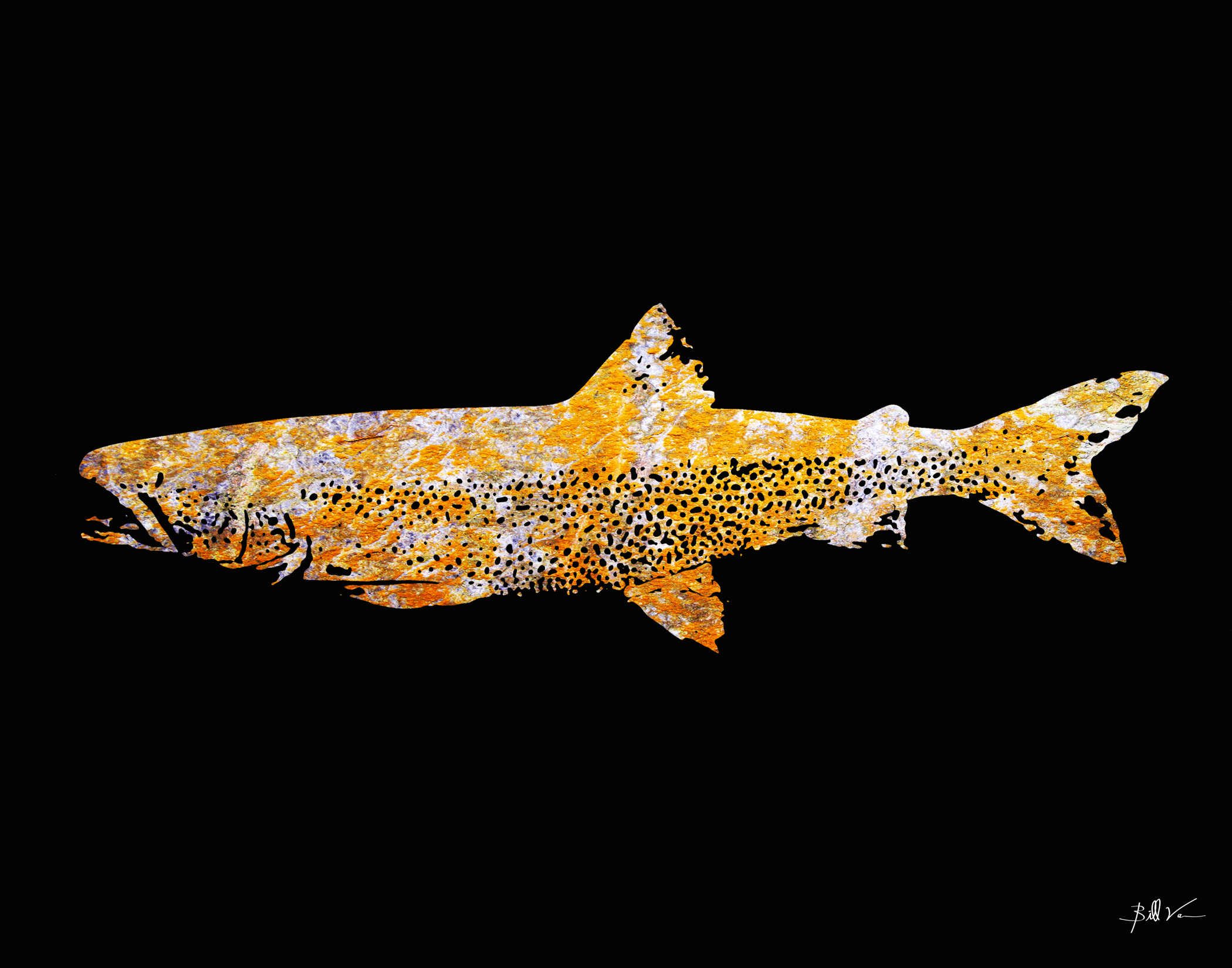 Lake-Trout-Rust.gif
