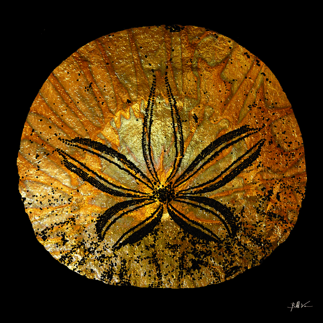 Sand-Dollar.gif