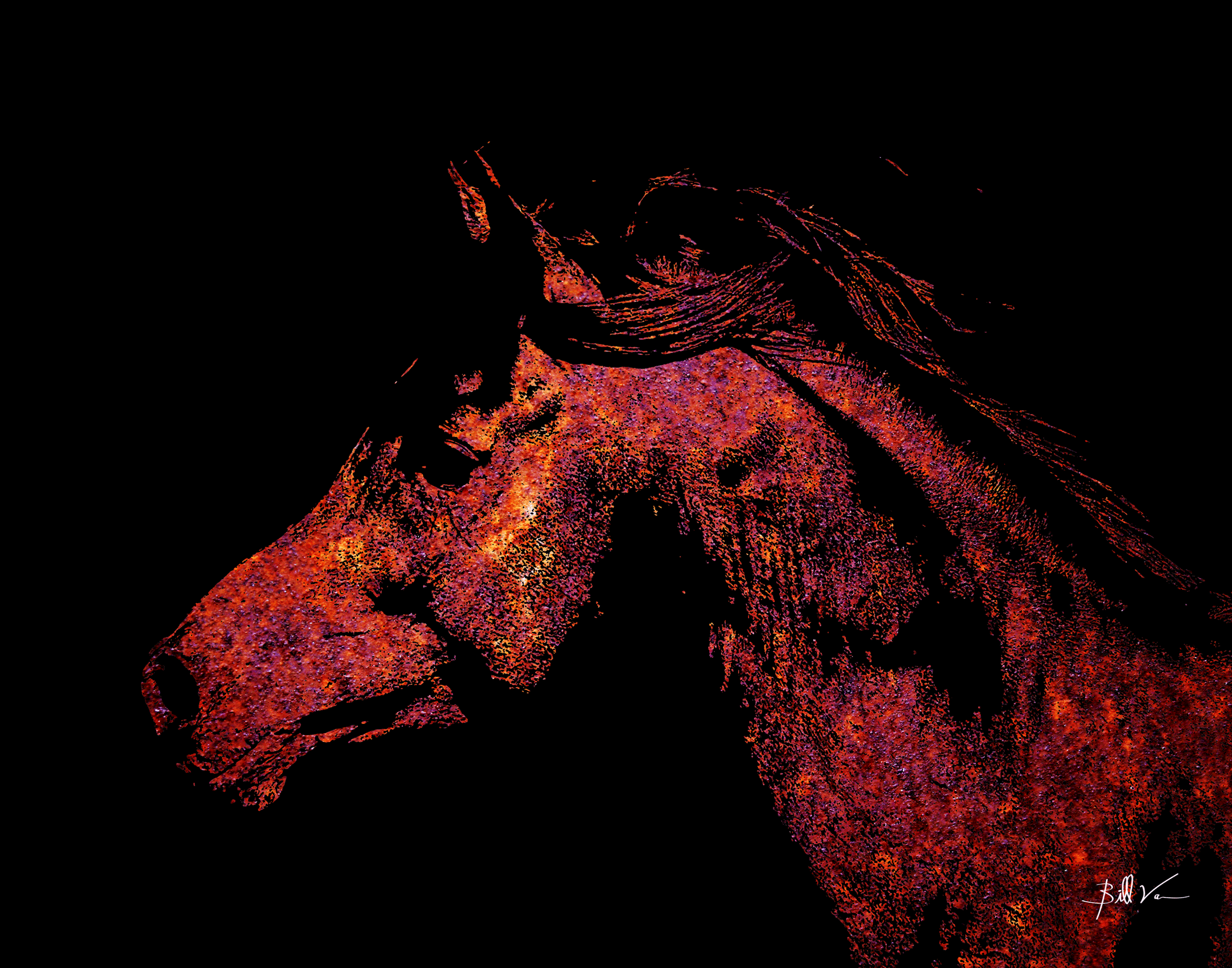 Horse-Portrait.gif