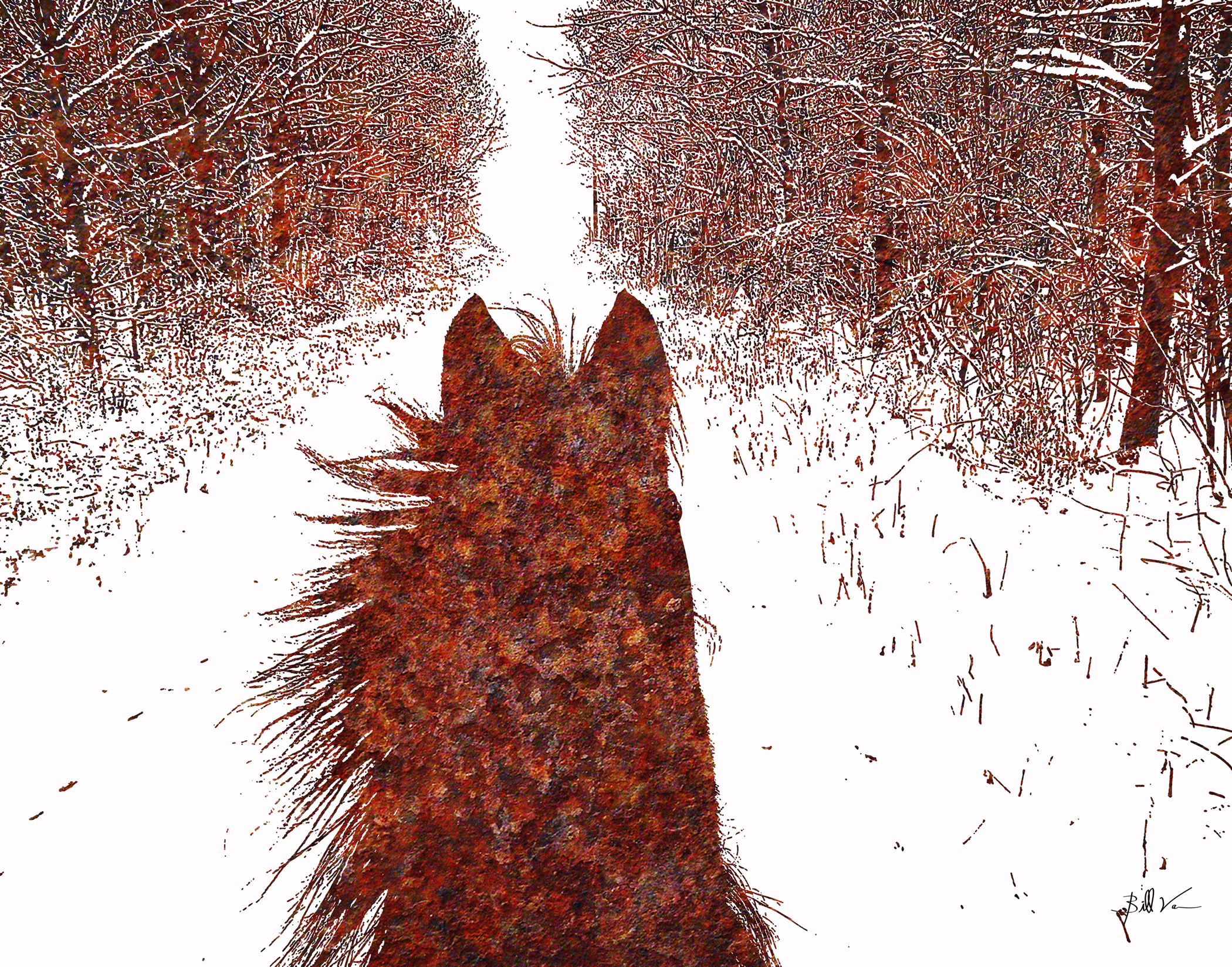 Riding-down-the-Road.gif