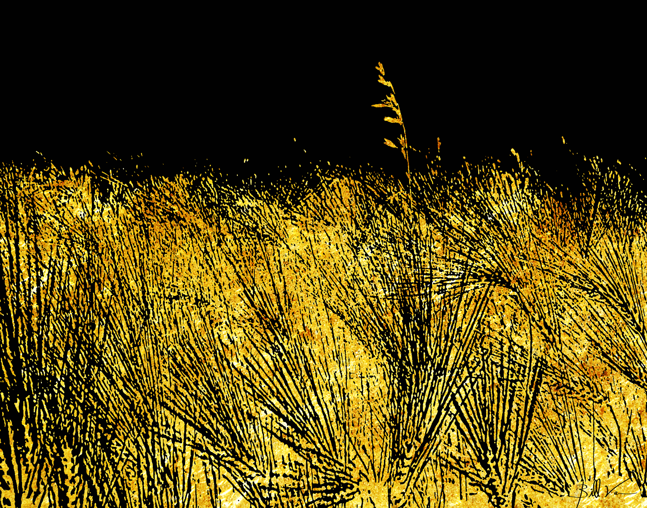 Field-of-Wheat-Gold.gif