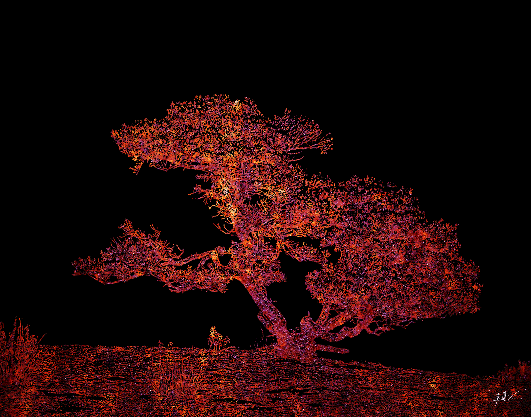 Desert-Tree.gif