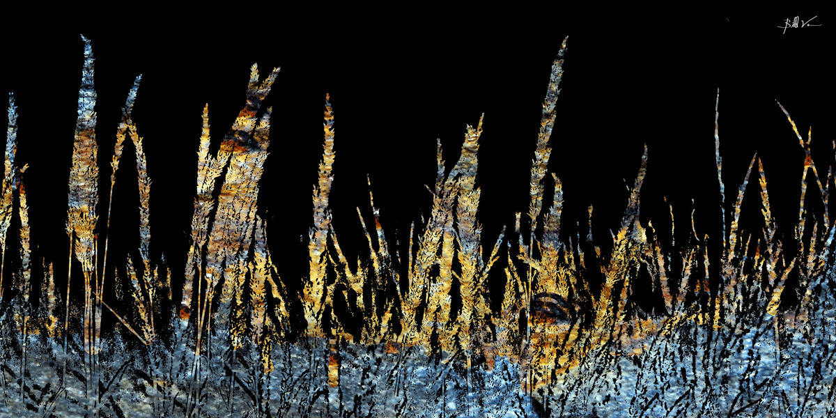 Abstract-Grass.gif