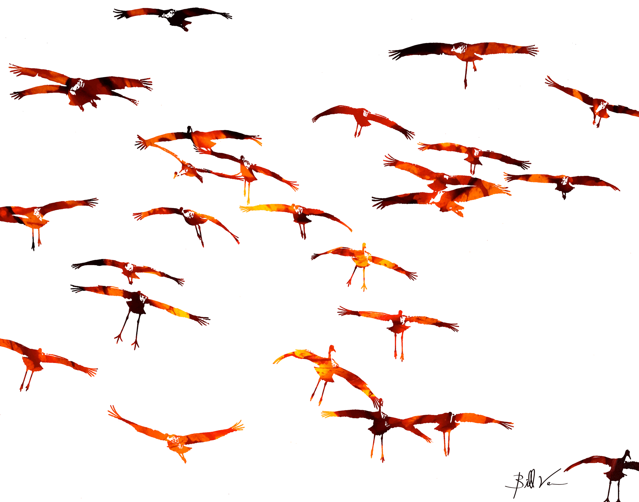 Landing-Flock-of-Cranes-2.gif