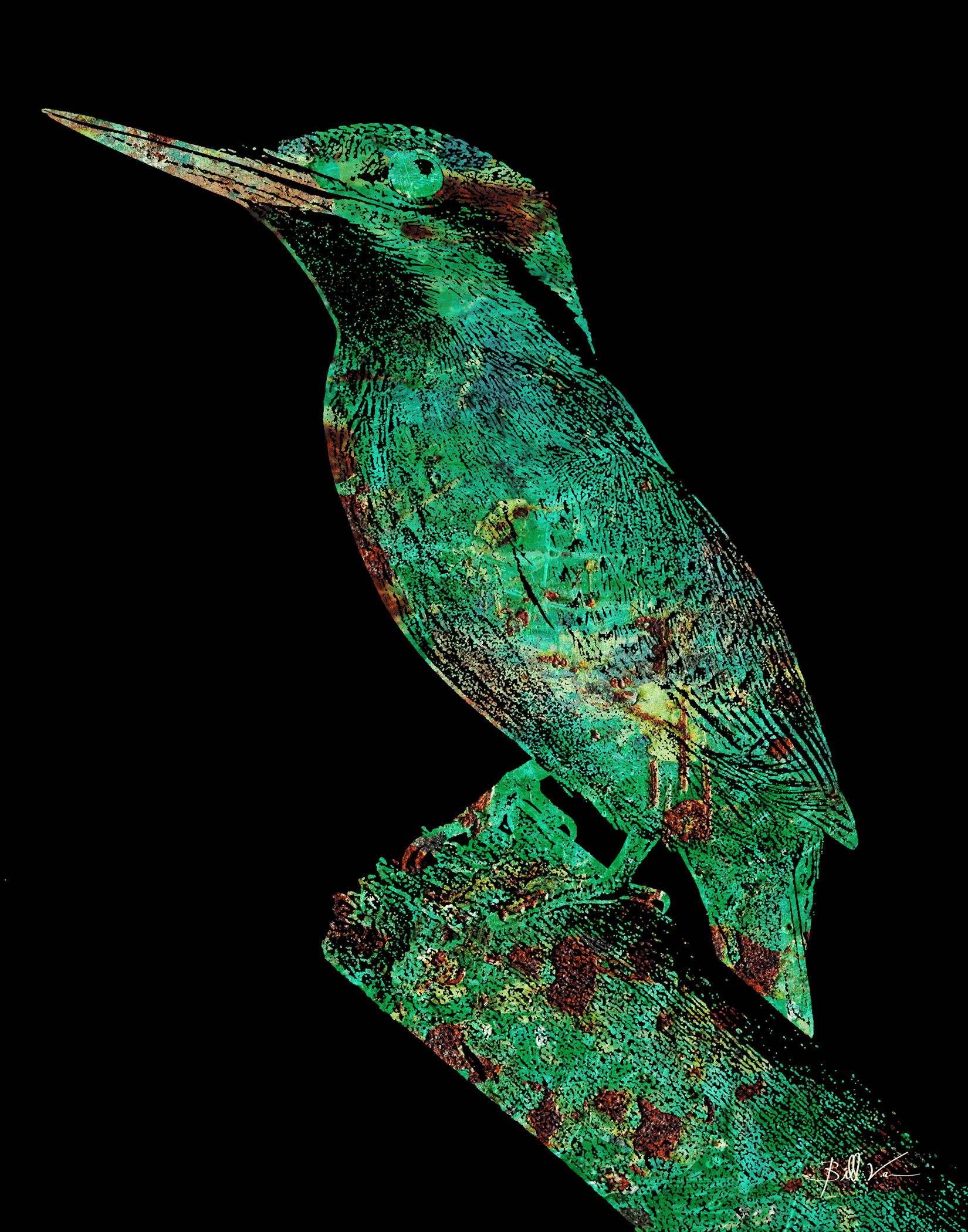 Kingfisher.gif