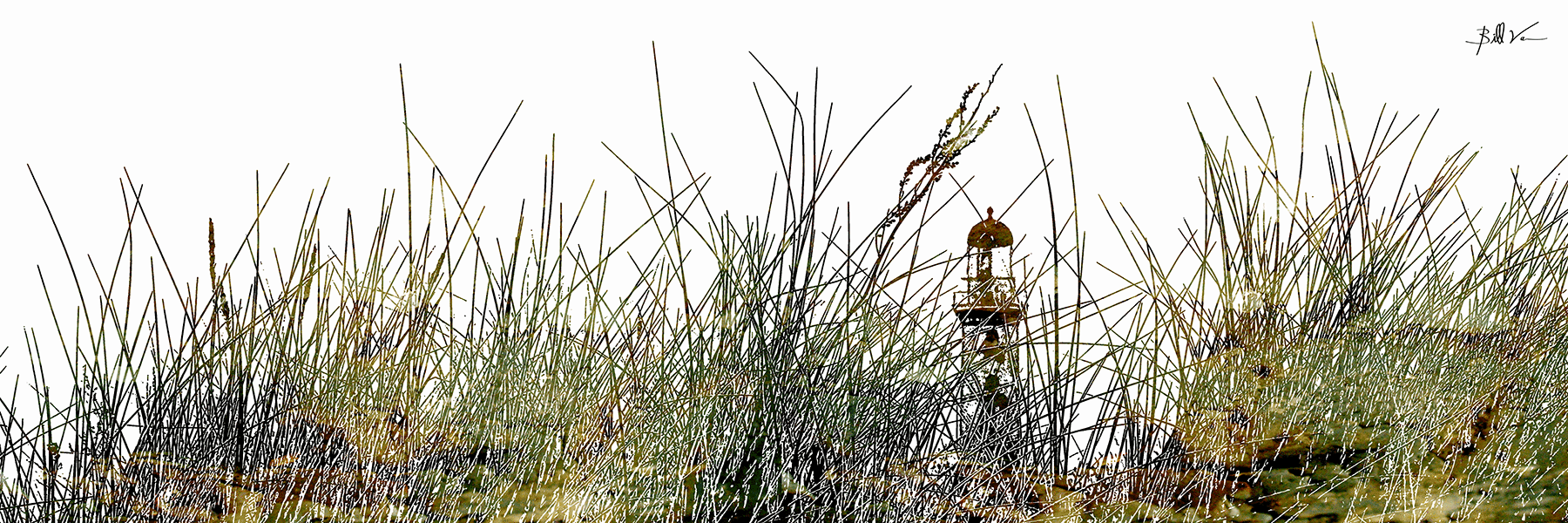 Lighthouse-Grass.gif