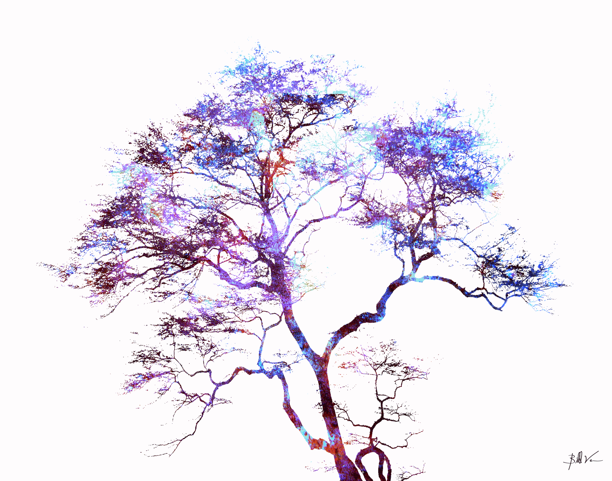 Single-Tree-White.gif