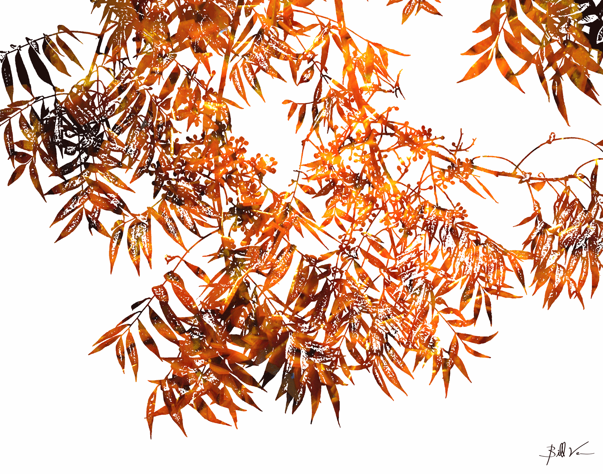 Leaves-&-Berries--Orange-Crystals.gif